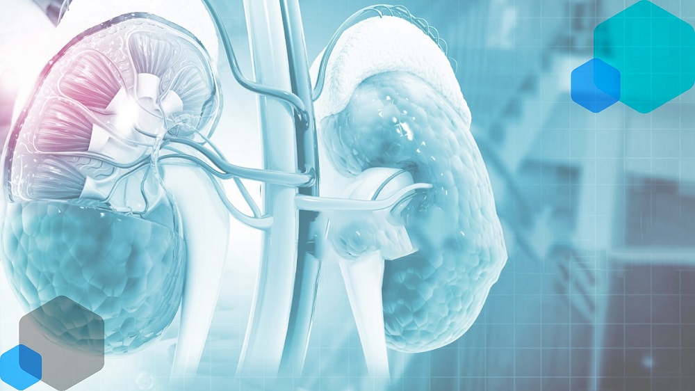 Nephrology Treatments